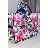 Dior Book Tote Bag