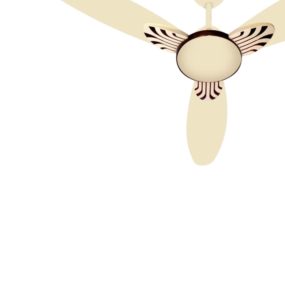 ECO BLDC FAN