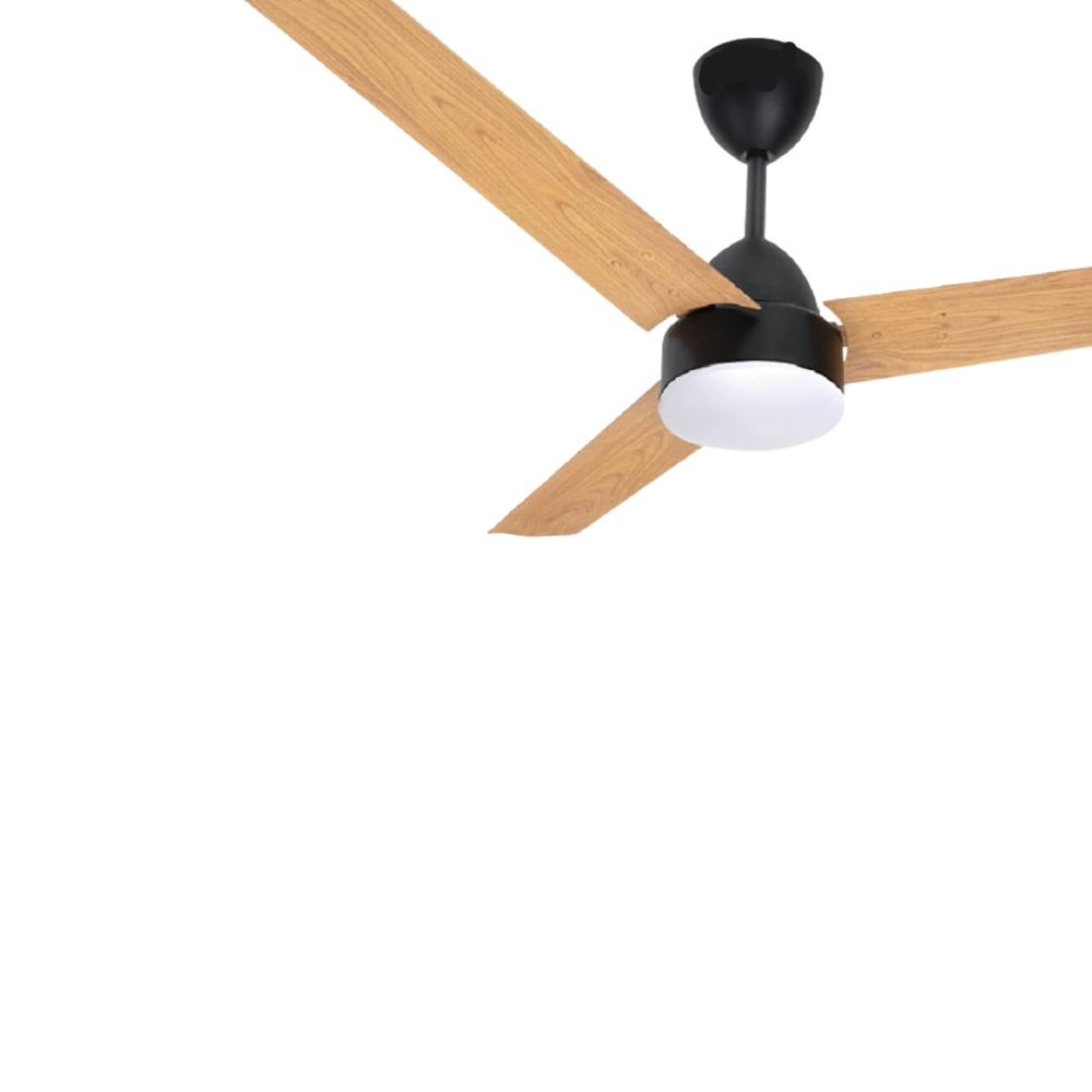 ECO STAR BLDC FAN