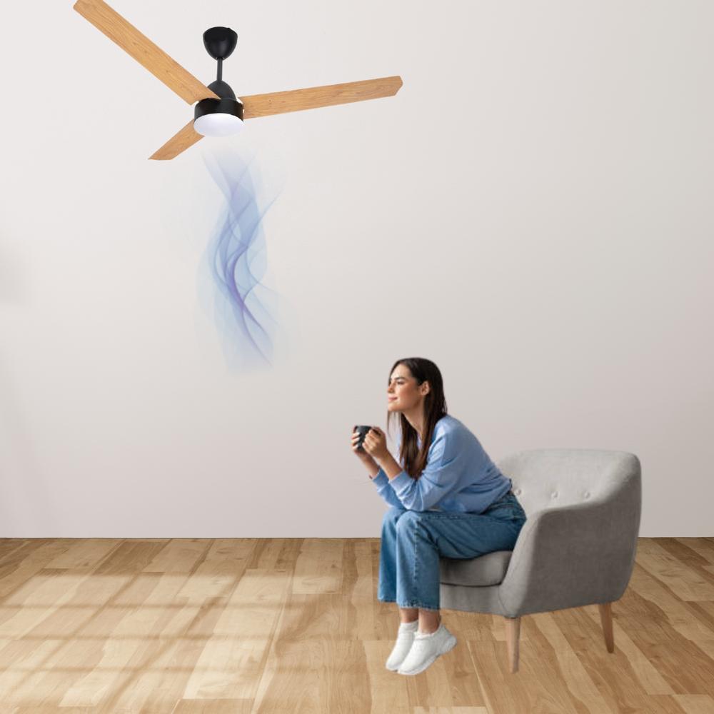 ECO STAR BLDC FAN