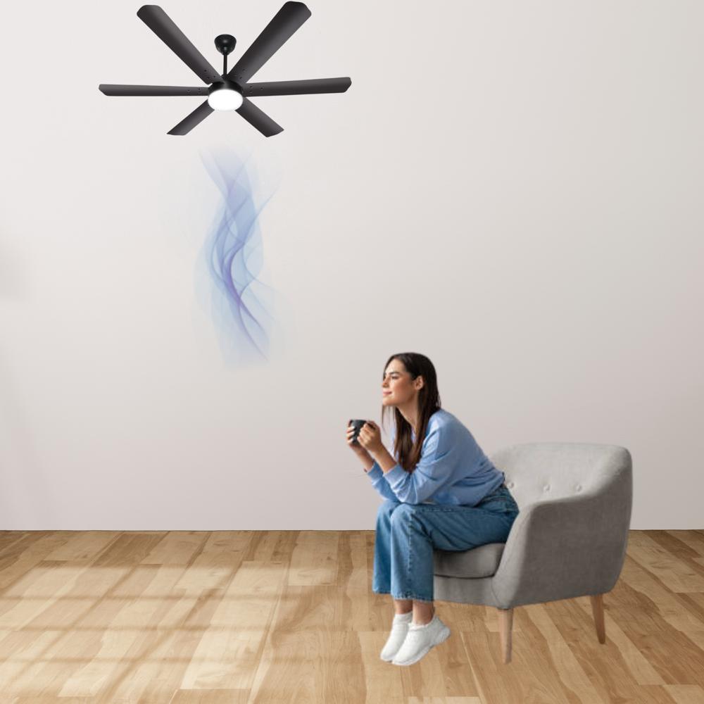 ECO STAR PLUS 6B MS BLDC FAN