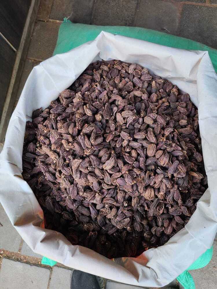 Black cardamom