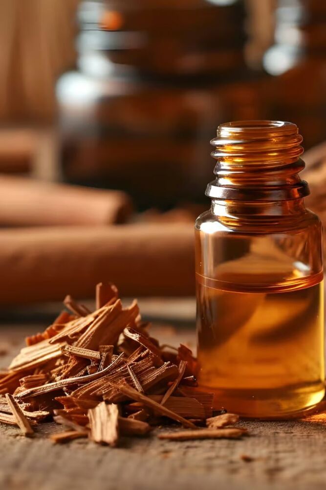 Apple Cinnamon fragrance