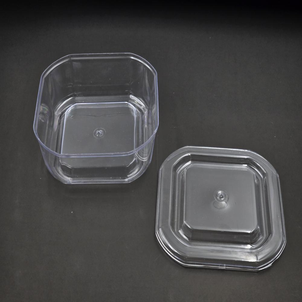 CP 500 Small Container (CPSQ8)