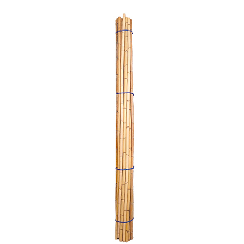 Rattan Manau Cane