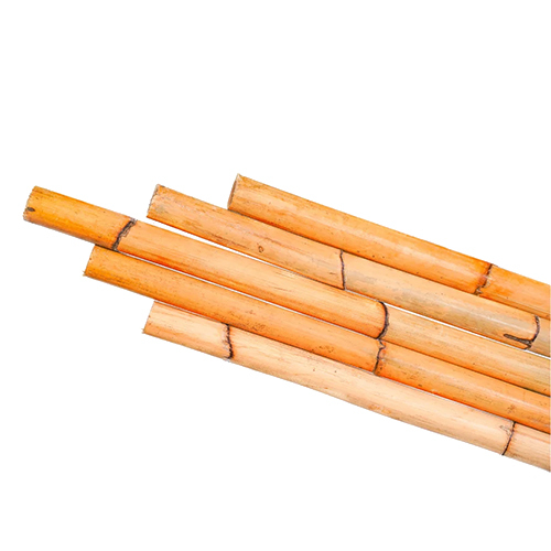 Rattan Manau Cane