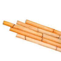 Rattan Manau Cane
