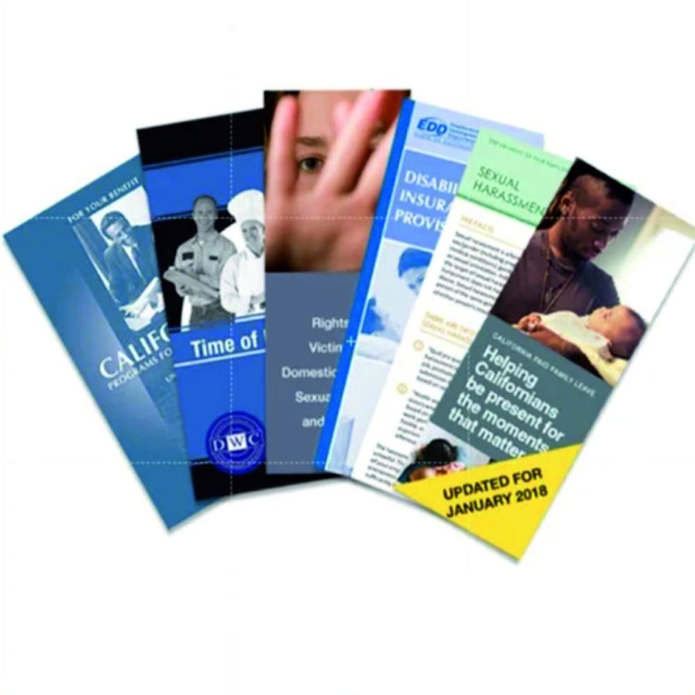 Pamphlet Flyer Printing Service