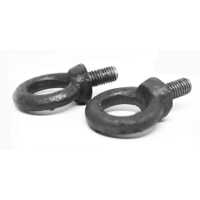 Forge Eye Bolt - Color: Grey