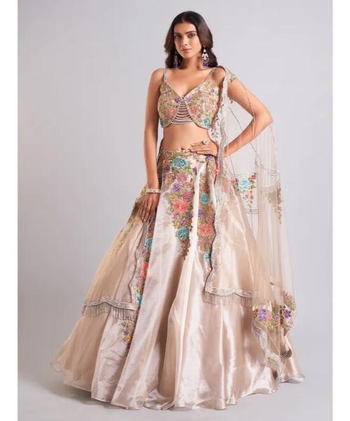 Gorgeous beige organza lehenga choli