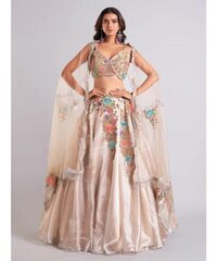 Gorgeous beige organza lehenga choli