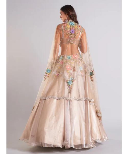 Gorgeous beige organza lehenga choli