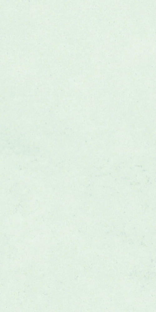 600 X 1200MM POLISHED PORCELAIN FLOOR TILES