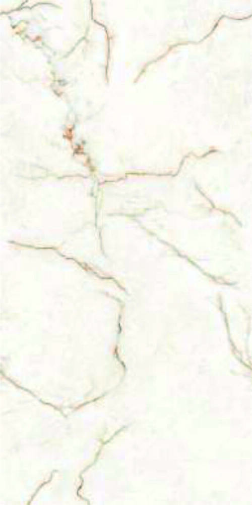 600 X 1200MM VITRIFIED CERAMIC  FLOOR TILES