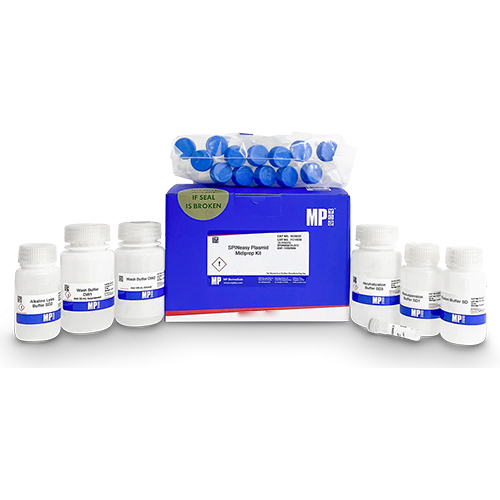 Spineasy Plasmid Midiprep Kit - Capacity: 25 - 50 Ml Milliliter (Ml)