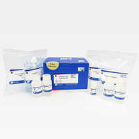 Spineasy Dna Purification Kit - Capacity: 25 - 200 Aul Milliliter (ml)