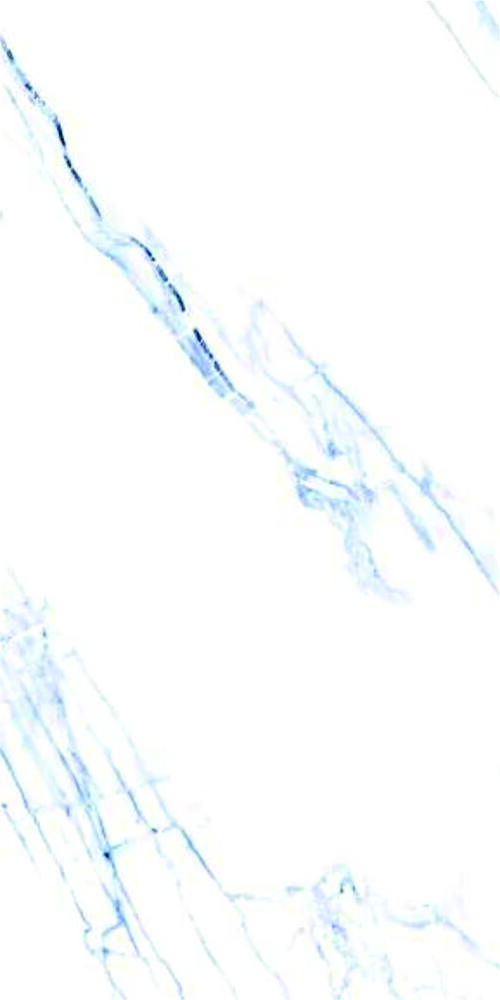 600 X 1200MM FULL BODY VITRIFIED CERAMIC  FLOOR TILES