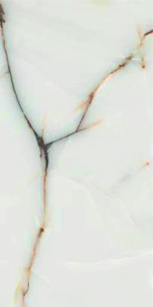 600 X 1200MM GLAZED VITRIFIED  FLOOR TILES