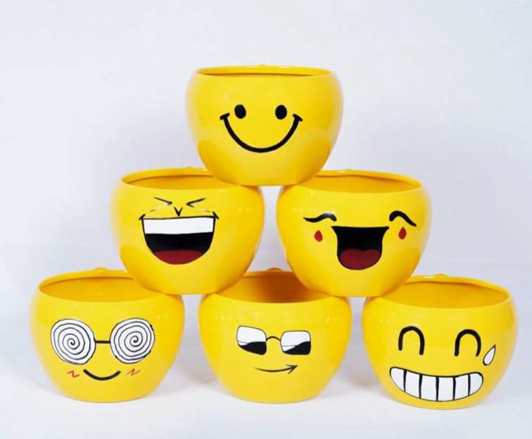 EMOJI POT