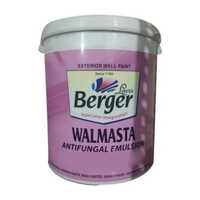 Exterior Wall Paint
