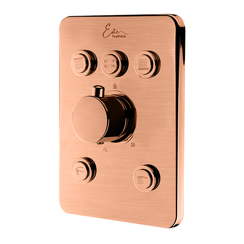 CLIC 5 Function Diverter Thermostat (with Push Button System)