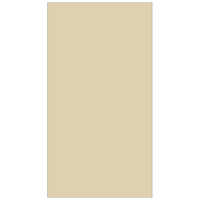 AG 1009 Light Tan Acrylic Sheets
