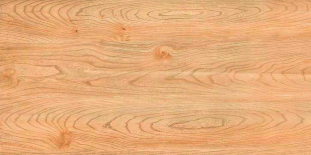 600 X 1200MM WOOD MATT FLOOR TILES