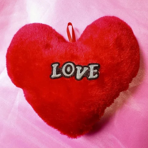 Red Heart Shape Pillow
