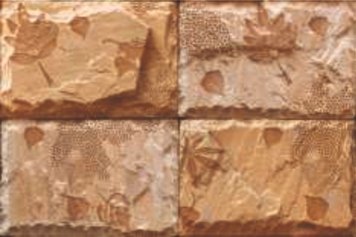 250 X 375MM CERAMIC WALL TILES