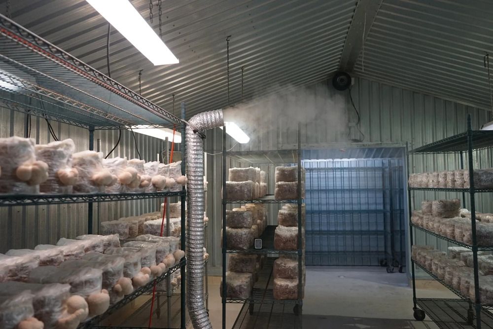 Carrier Mushroom Cold Room - Climate Type: Cool