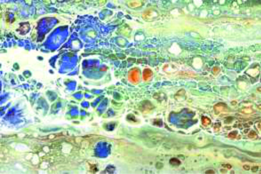 250 X 375MM SUPER GLOSSY WALL TILES
