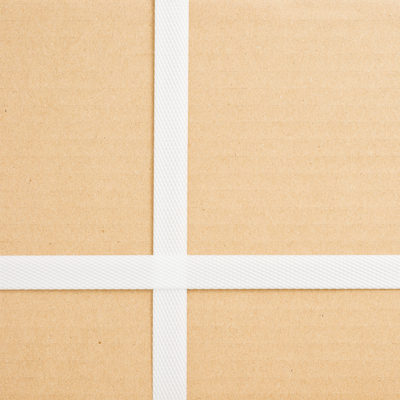 MANUAL PACKAGING STRAP