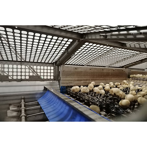 Potato Auto-Sizer