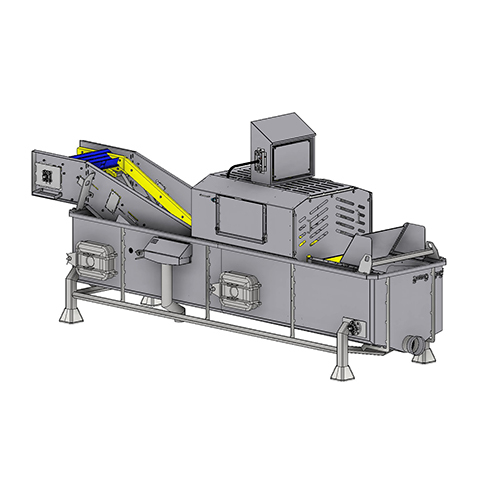 Pulse Electric Field
