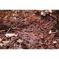 Industrial Copper Scrap