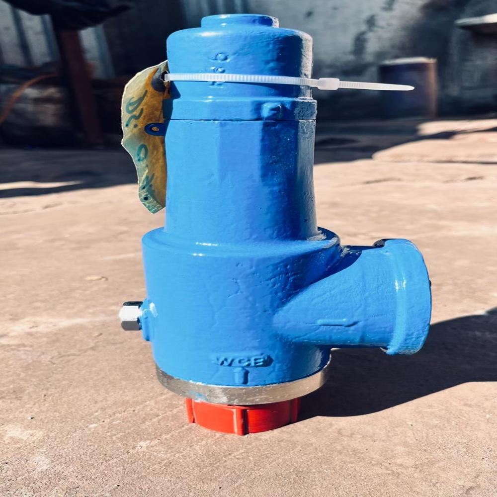 Cast Steel Safety Relief Valve - Color: Blue
