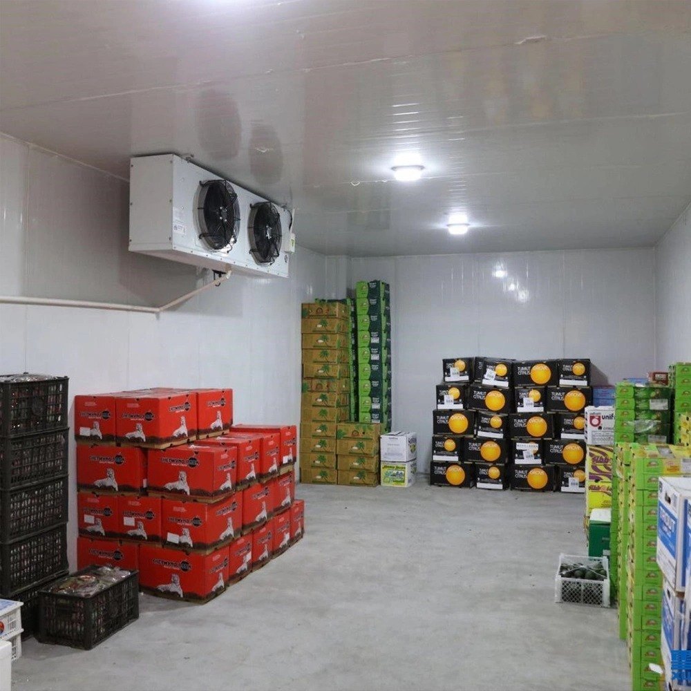 Frozen Cold Room - Material: Mild Steel