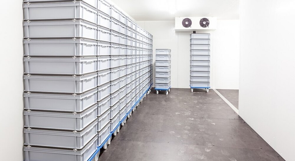 Commercial Cold Room