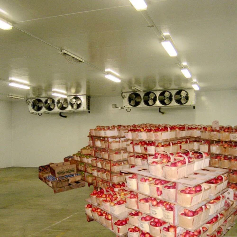 Multi Purpose Cold Room - Material: Mild Steel