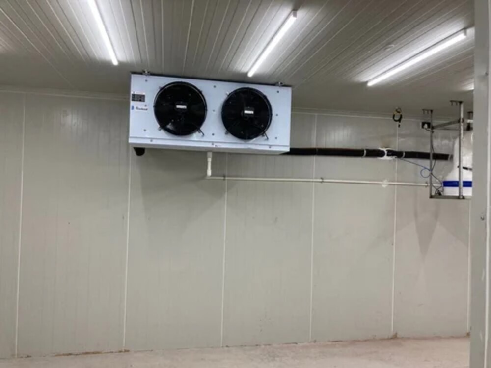Sweet Cold Room