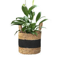 Jute Basket Planter - Color: Multi Colour