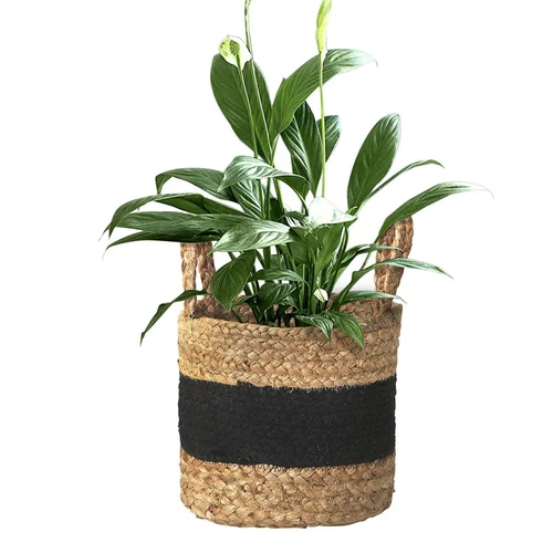 Jute Flower Pot - Pattern: Braided