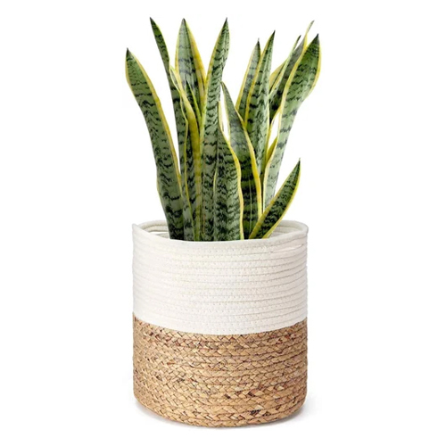 6x6x6 Cotton Planter Basket