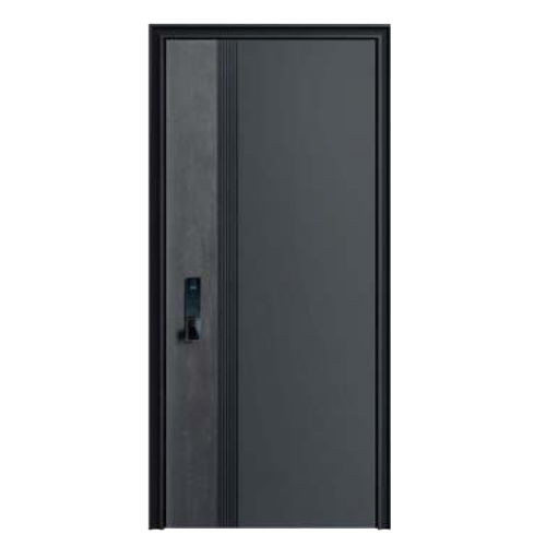 Designer & Luxury Steel Door with Frame Wooden Finish