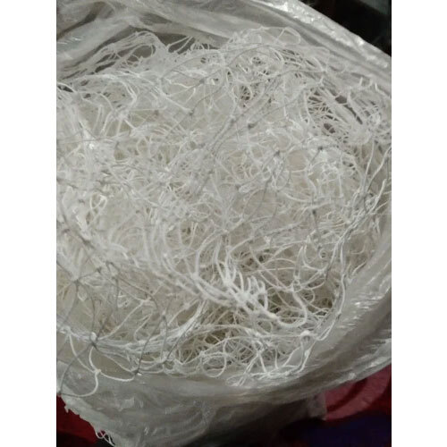 Pigeon Net