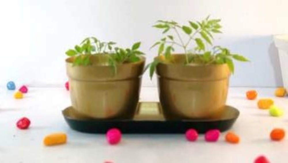 METAL POT WITH TRAY