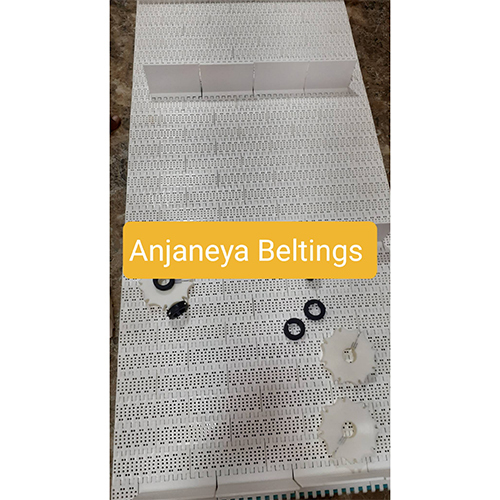 Plastic Modular Belt - Size: Various Sizes Available