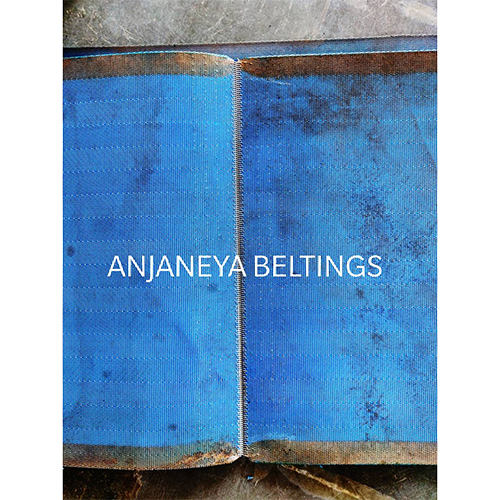 Polyester Mesh Belt