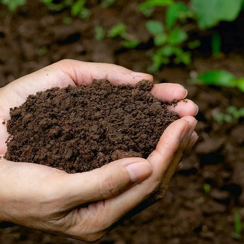 Bio Soil Conditioner
