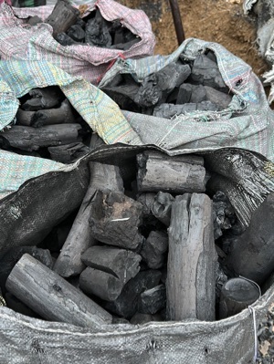 Ground Earthing Wooden Charcoal - Color: Black